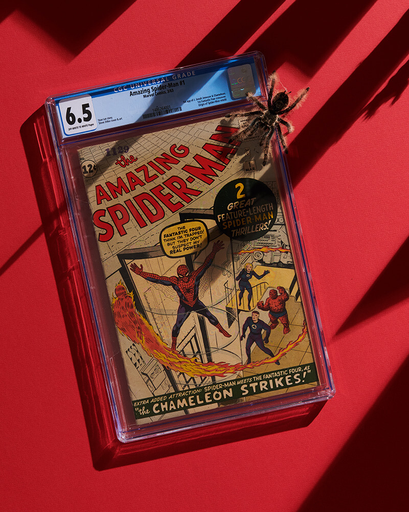 1963 Amazing Spider-Man #1 Comic Book | Rally | Alternative Asset Investment